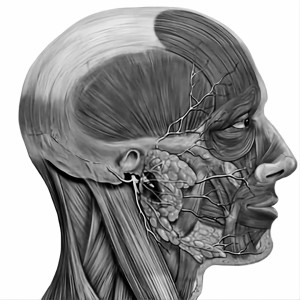 Невропатія (парез) лицевого нерва – лікування